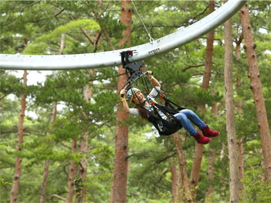 ¿Requiere electricidad la montaña rusa de tirolesa?